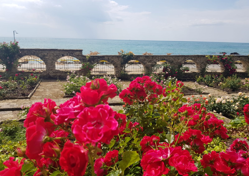 IMG-20190604-WA0001